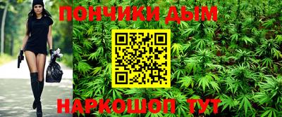 прущие грибы Кингисепп