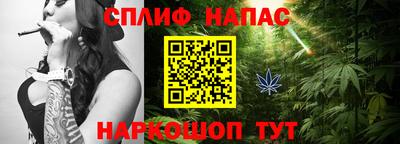 прущие грибы Кингисепп