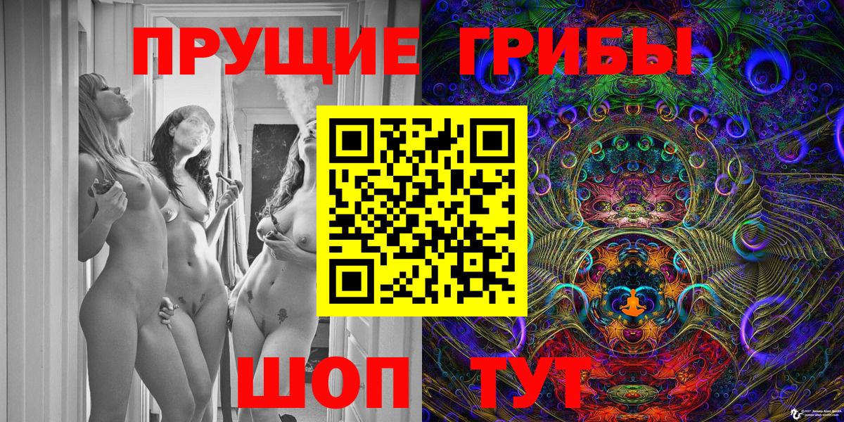 Псилоцибиновые грибы Psilocybe  Вход с VPN  Арсеньев 